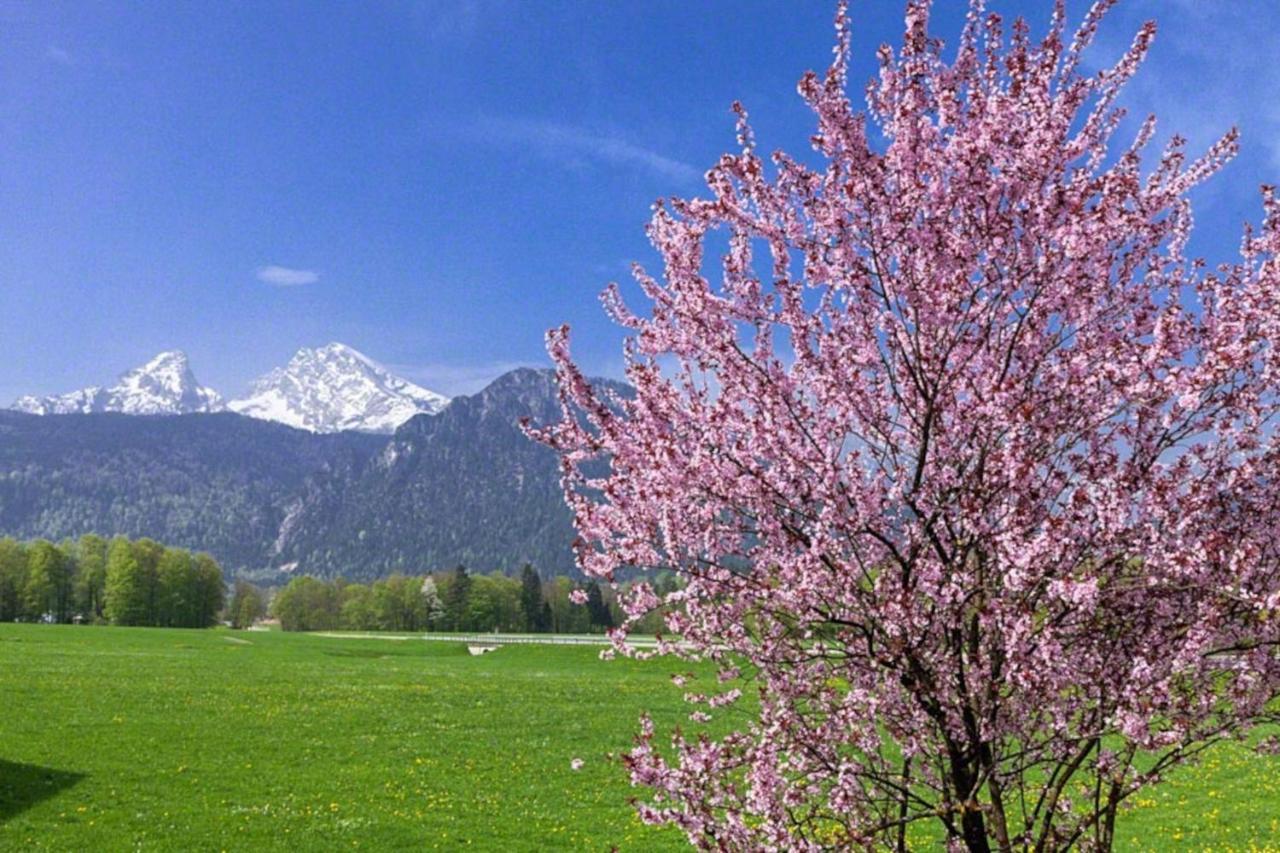 Villa Triembachhof Schönau am Königssee Esterno foto