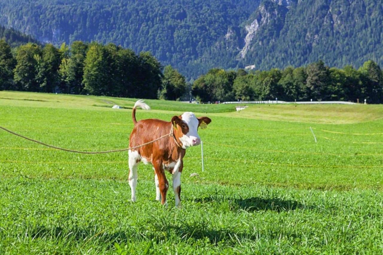 Villa Triembachhof Schönau am Königssee Esterno foto