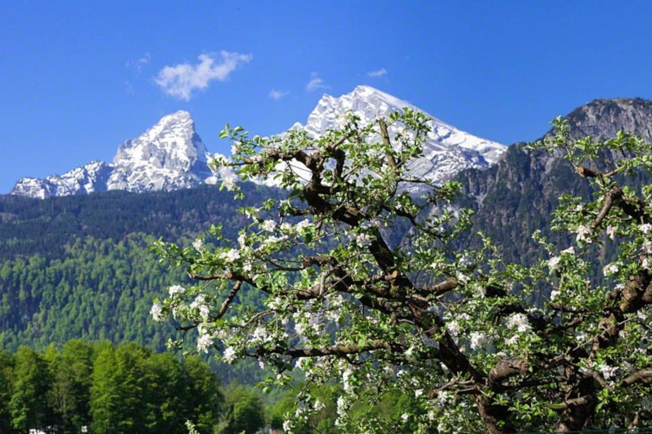 Villa Triembachhof Schönau am Königssee Esterno foto